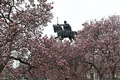 U kraljevstvu …