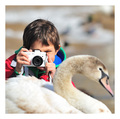 Nikon Assignme…