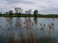 Jasenovac