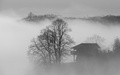 Slavonska mist…