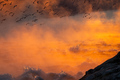 Mordor na Topl…