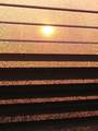sunce na prozo…