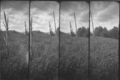 supersampler 1…