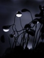 noćna lampa