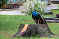 Zoo Ljubljana