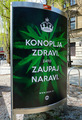 Konoplja zdravi