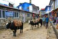 Crowded Street