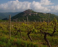 Motovun