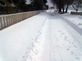 snježne šetnji…