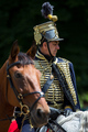 Profil i polup&hellip;
