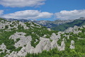 Velebit