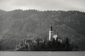 Bled