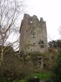 Blarney castle…