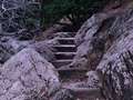 Stepenice u ni…