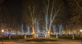 Lights