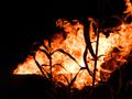 Burn it!