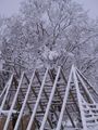 Krov u snijegu