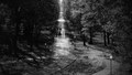 Maksimir...
