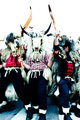 Goat delirium.&hellip;