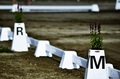 Dressage arena