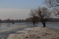 Jednostavna zi…