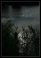 night silence
