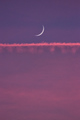 DreamWorks
