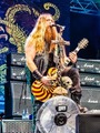 Zakk Wylde