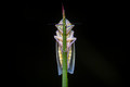 Potpuno sakriv&hellip;