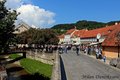 samobor , cvij…