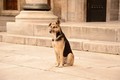 Sultanahmet ca…