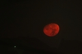 Red Moon