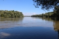 Drava