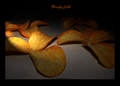 PrINgLEs FiEld