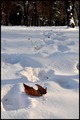 Sam na snijegu