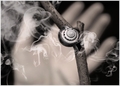 smoke&snail