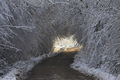Na ledenoj strani tunela...