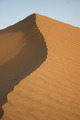 sahara