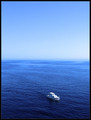 Galebov pogled