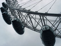 london eye