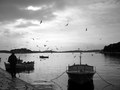 Fisherman's friend